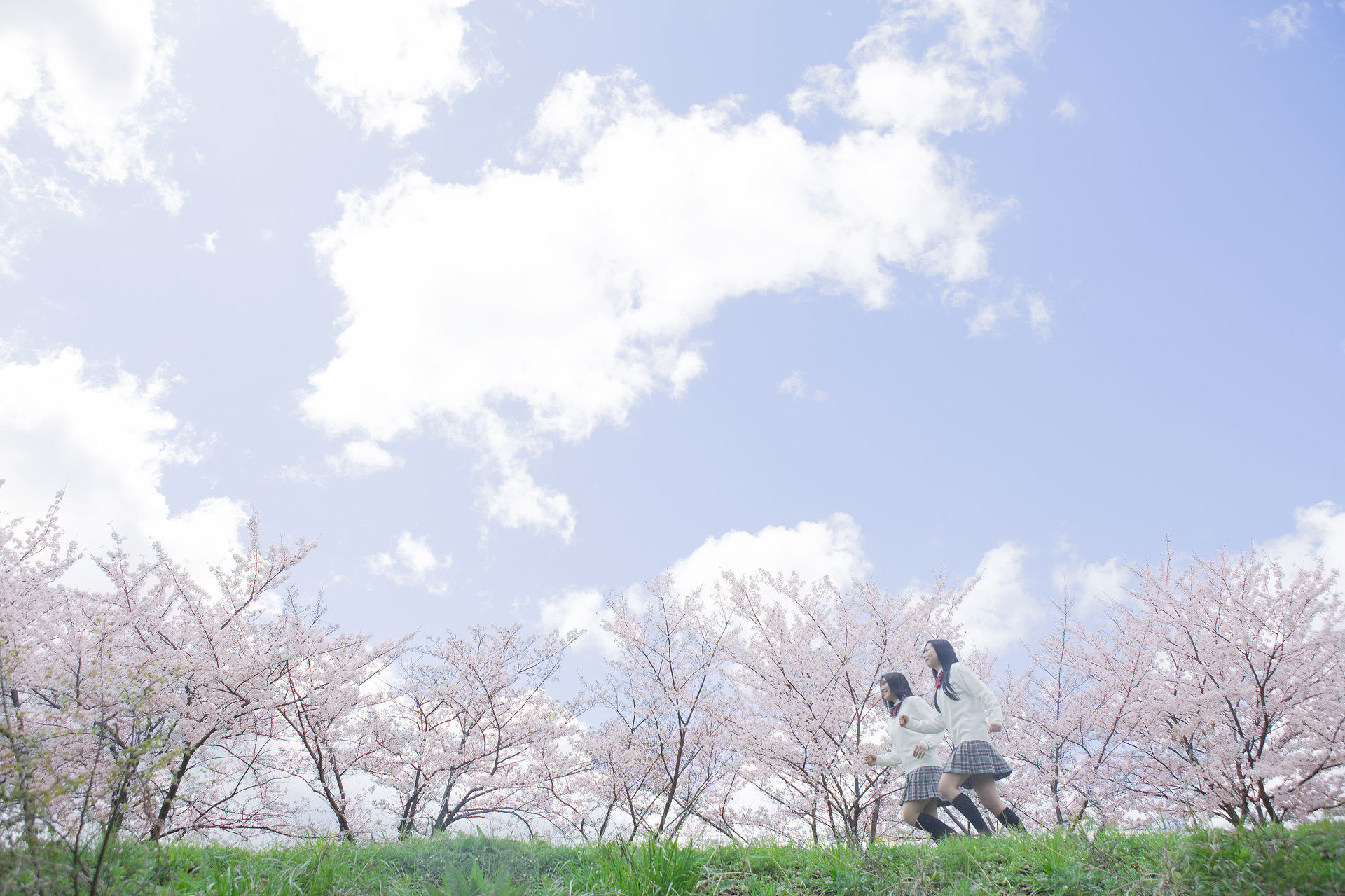 駆除